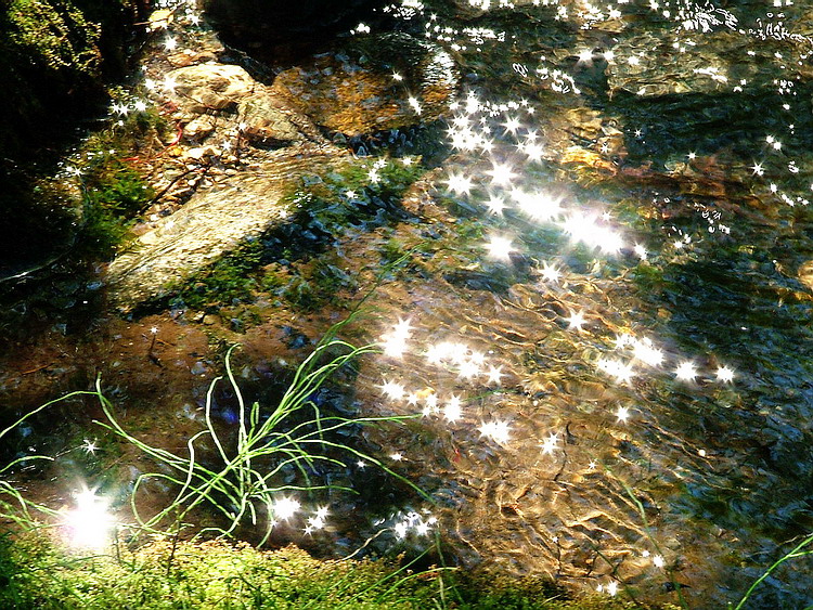 WS2 Pic, some amazing water in a small hidden creek in Nelson, B.C., CLICK to enter!
