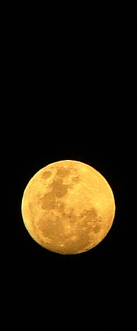 WS2, Evening moon from Kelowna, B.C.